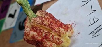 572681011_1088988066640871_3790904493071037763_n