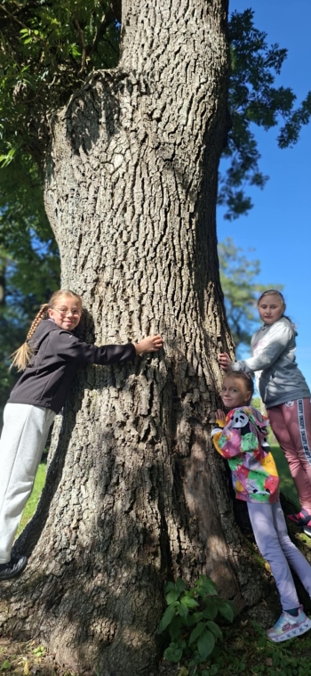 470df766-8f5d-4ad9-8926-f2cb6ea75daf