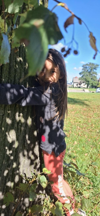 46422f0e-c80e-4530-a432-a4ca7d6e199c