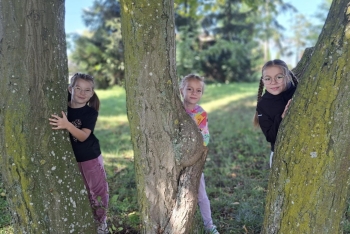 b0f74ab7-d434-4313-a437-ee6a6c3c9837