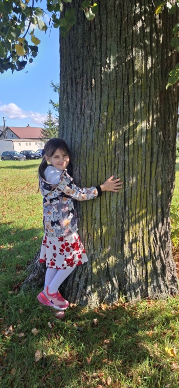 cdb26fee-da11-403c-b48f-94f0116e4e0a