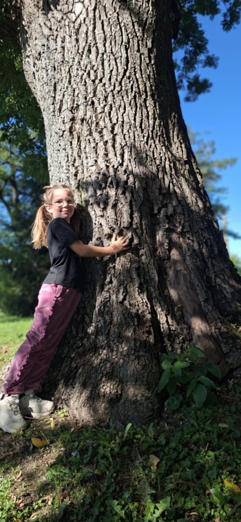 f5ba53a7-3eca-4e83-9929-01ce7d493735