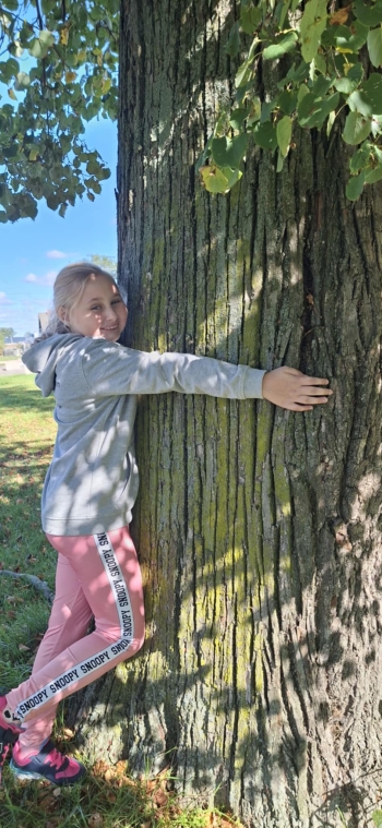 f407e916-c54e-472e-b3ee-a2ad78bf3164