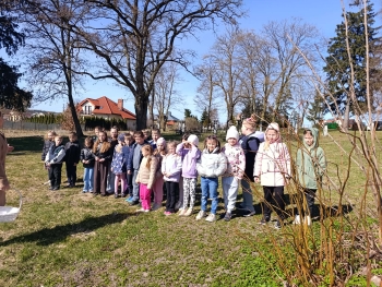 62c160e7-3b36-4a4d-a08c-bb92d9de5906