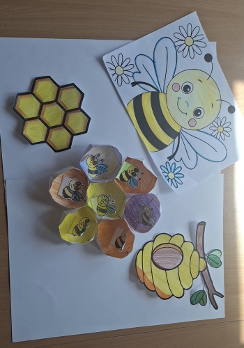 707592294_3191329627730437_3507522281184642693_n (1)
