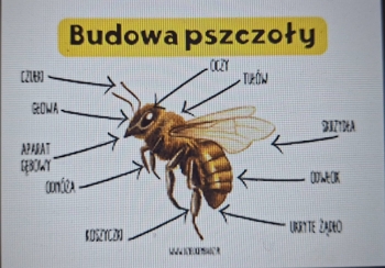 707230040_3191329481063785_7302086832299053033_n