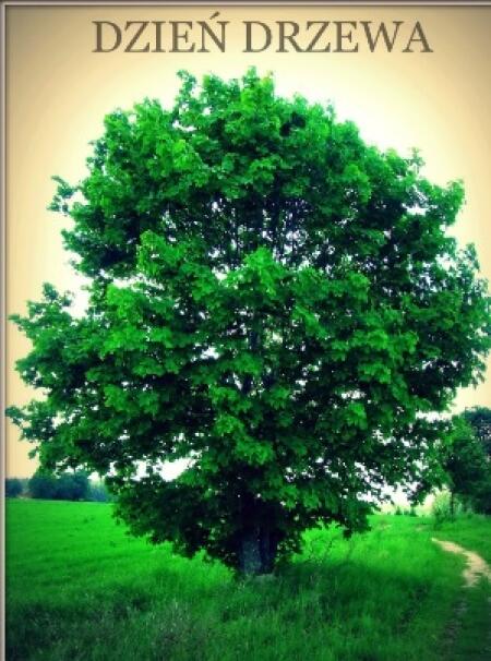 Światowy Dzień Drzewa