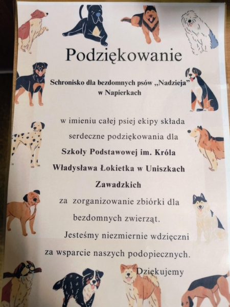 Dzień Wolontariusza